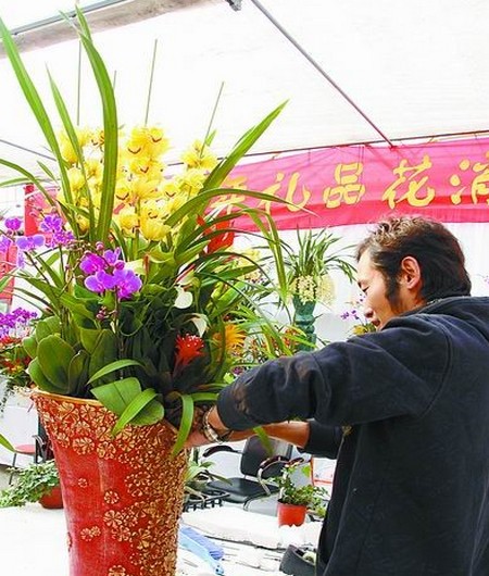 大花蕙兰盆景养护技巧