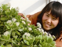 玉树花盆景养护管理方法