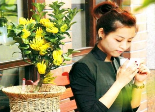 佛手盆景的养护管理1