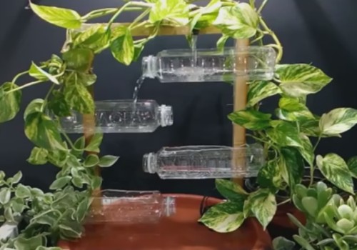 自制饮料瓶绿植盆栽图解6