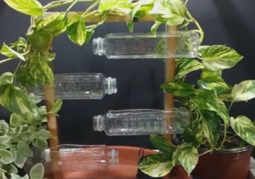 自制饮料瓶绿植盆栽图解5