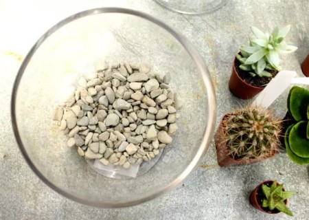 DIY植物玻璃盆栽2