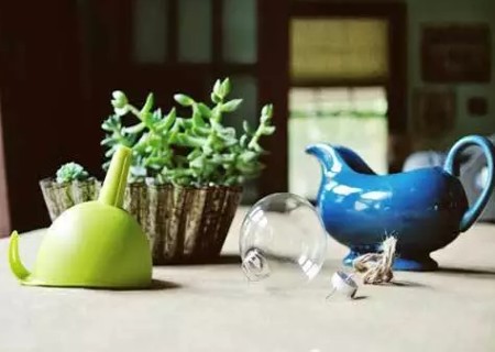 DIY灯泡植物多肉盆栽2