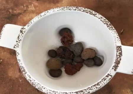 多肉植物拼盘技巧3