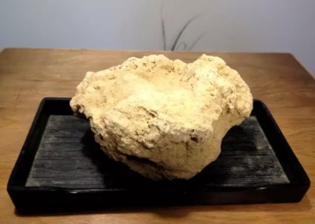 石菖蒲盆景制作方法4
