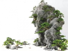 山水盆景制作技艺