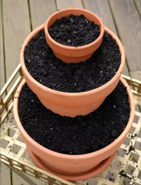 微型童话花园盆景制作方法4