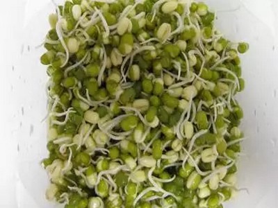 制作豆芽1