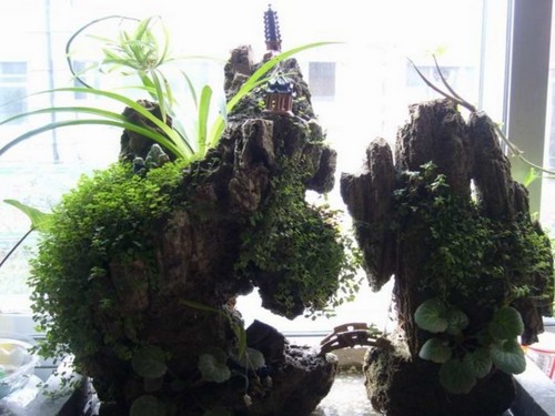 上水石盆景制作方法