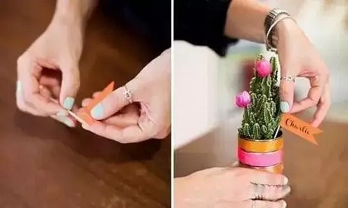 手工制作易拉罐盆栽8