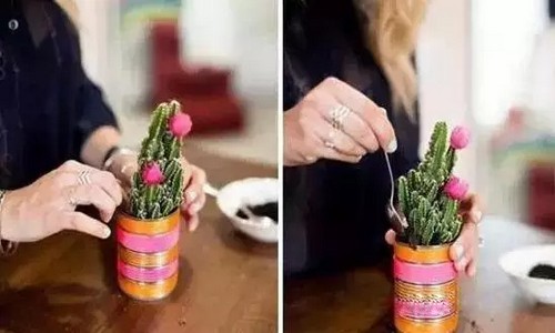 手工制作易拉罐盆栽6