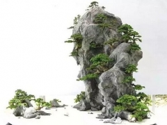 绝美山石盆景制作方法