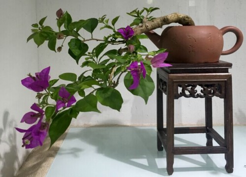 紫砂壶茶壶盆景制作方法3