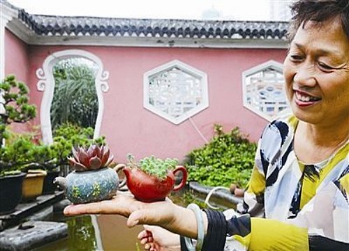 紫砂壶茶壶盆景制作方法1