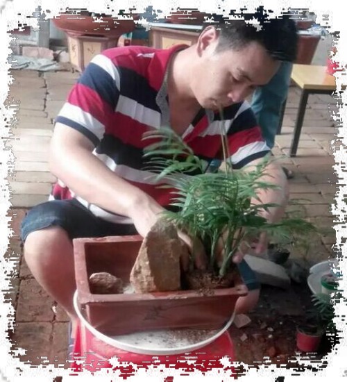 山水盆景DIY制作图文教程1