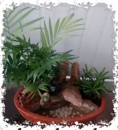 山水盆景DIY制作图文教程4