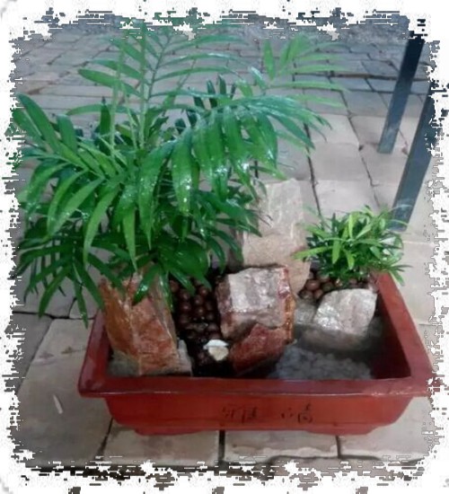 山水盆景DIY制作图文教程13
