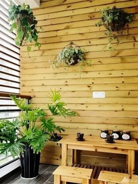 教你用家里的盆栽制作绿植背景墙6