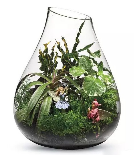 微型盆栽DIY，打造玻璃花园6