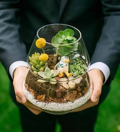 微型盆栽DIY，打造玻璃花园