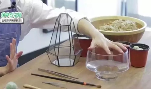 教你制作韩式多肉盆景3