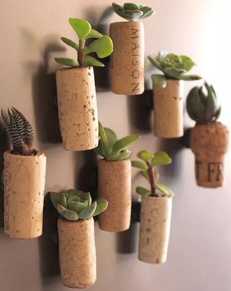 DIY手工制作葡萄酒软木塞植物盆景