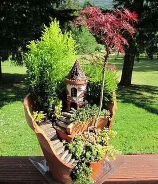 巧用打破的花盆制作盆景
