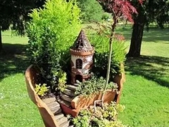 巧用打破的花盆制作盆景