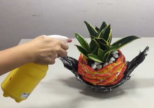 虎皮兰用多大的花盆