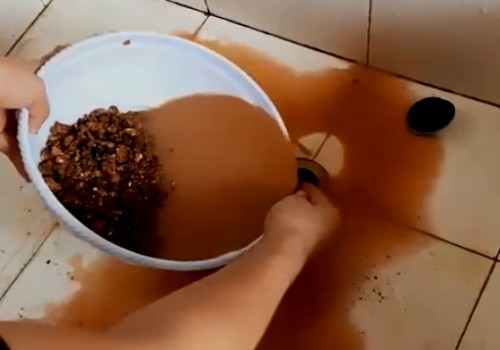 煤渣养花不泡水可以吗