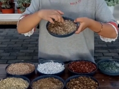 多肉铺面石的利弊