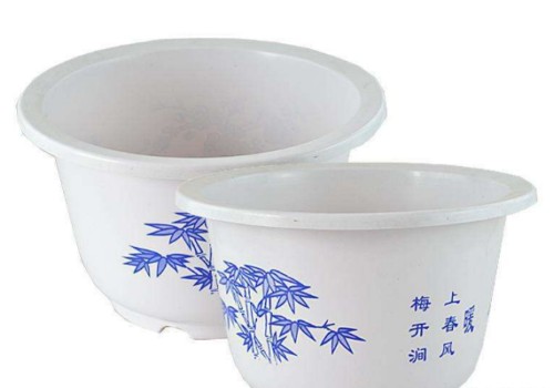 用瓷盆养桂花好吗