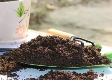 盆土板结怎么办