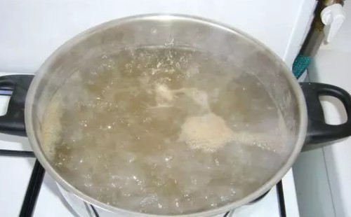 盆栽文竹土壤怎样配制3