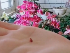 蝴蝶兰喜欢阳光吗