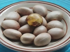 菠萝蜜的核怎么吃