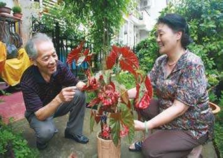 老年人养花的好处及适合养什么花