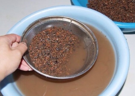 多肉植物煤渣配土方法5