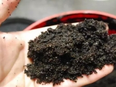 最简单的花土怎么配