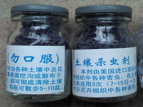 盆土消毒的方法