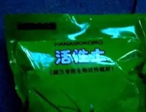 兰花上盆5