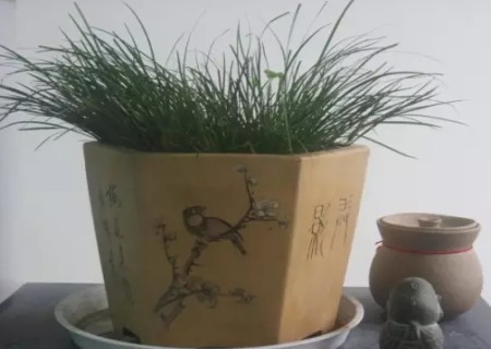段泥盆