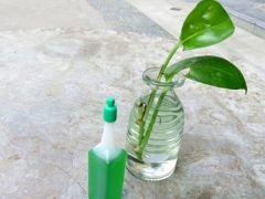 水培植物-如何自制水培营养液