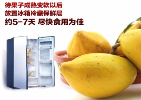 蛋黄果如何催熟3