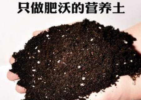 花卉营养土制作方法