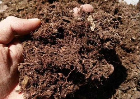自制盆栽植物营养土的方法5