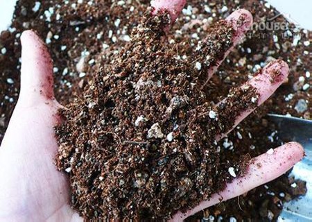 多肉植物用什么土最好1
