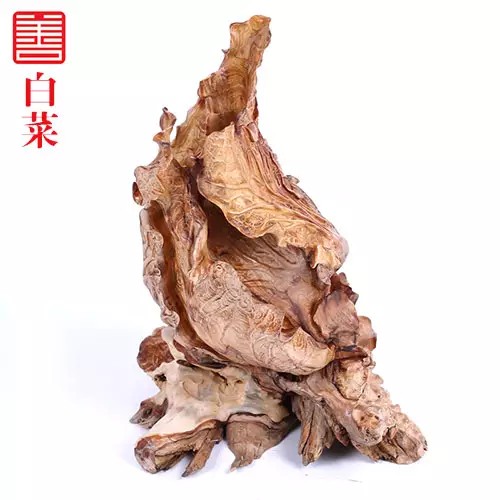 崖柏盆景及其价值5