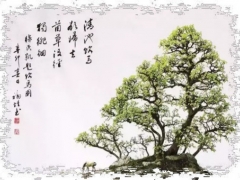 谈中国的盆栽艺术