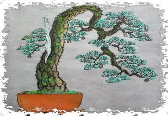 盆景创作的设计手法3